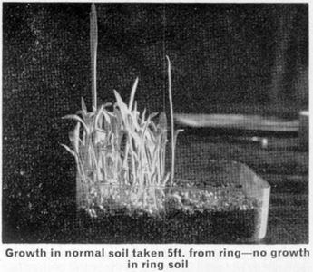 Delphos Soil Sample