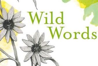 Cover of Wild Words book
