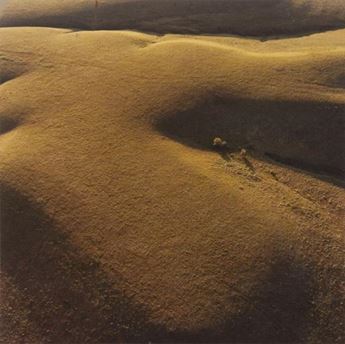 aerial photo of prairie