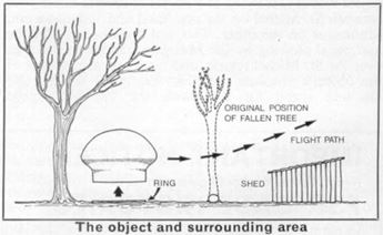 Delphos Site