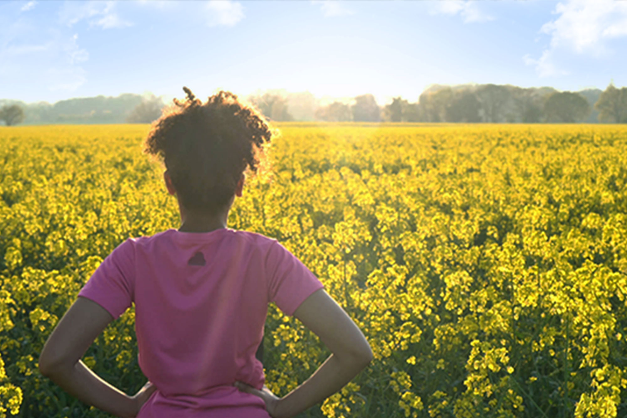 Girl standing in field of sunflowers