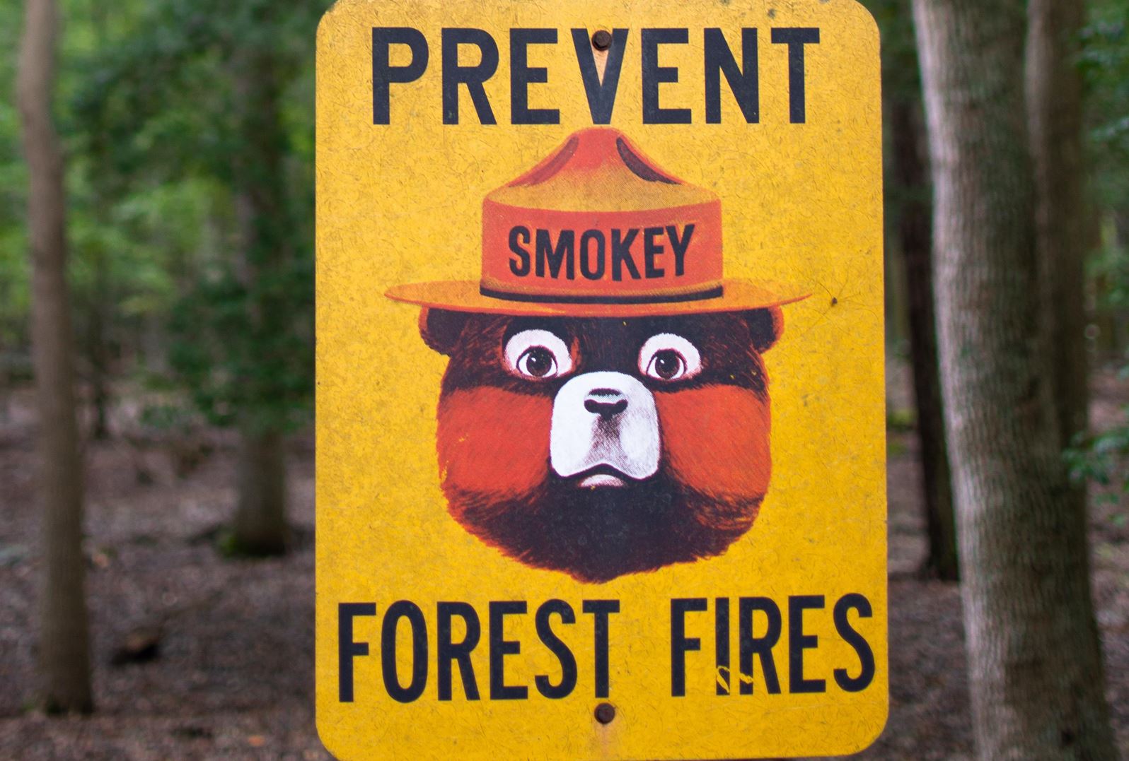 Sign in forest with Smokey Bear image