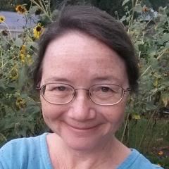 Kim Stanley image