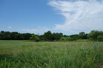 A view of the plentiful grass that thrives because of the Equus Beds Aquifer.