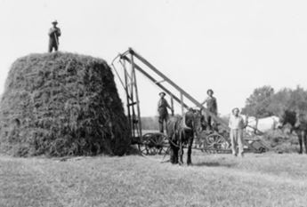 loose stacking hay