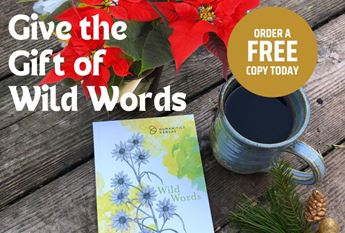 poetry book on table with coffee and holiday decor