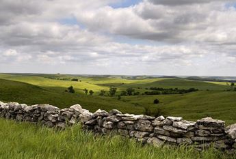 Field and stone wall in Wabaunsee County.