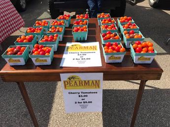 Tomato stand