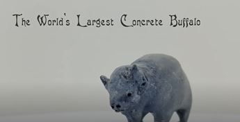 miniature version of worlds largest concrete buffalo