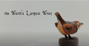 miniature version of worlds largest wren
