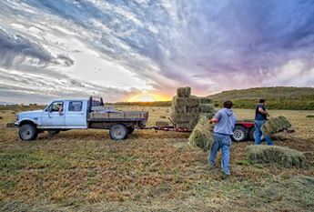 Men loading hay bales on a trailer as the sun sets.