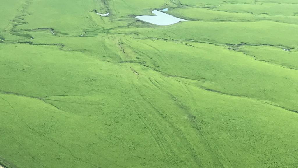 aerial view of wagon ruts on Santa Fe Trail